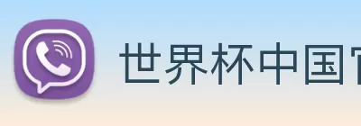 世界杯中国官网 Logo